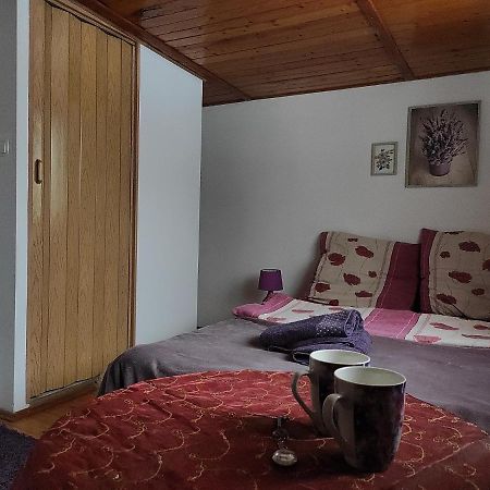 Home Stay Slotwinska 크리니차 즈드로이 외부 사진