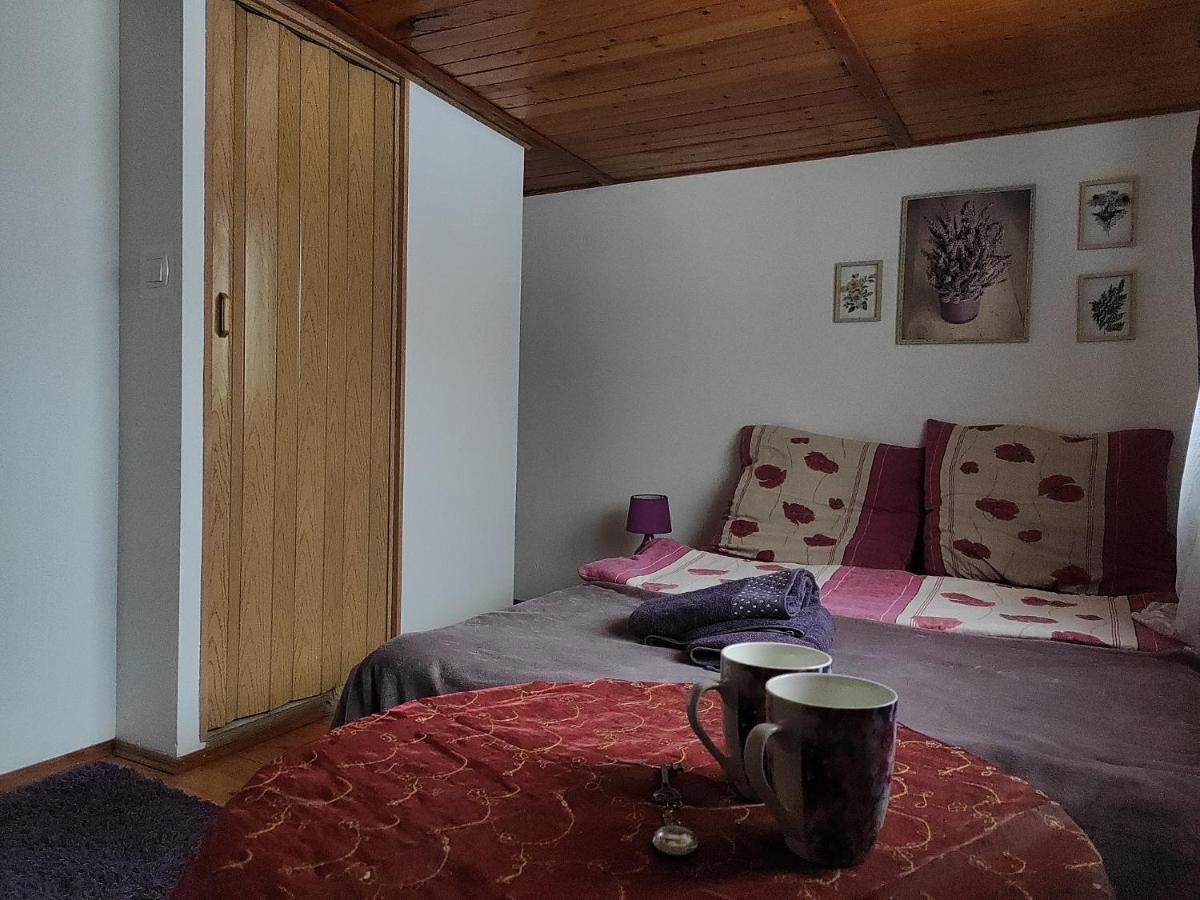 Home Stay Slotwinska 크리니차 즈드로이 외부 사진